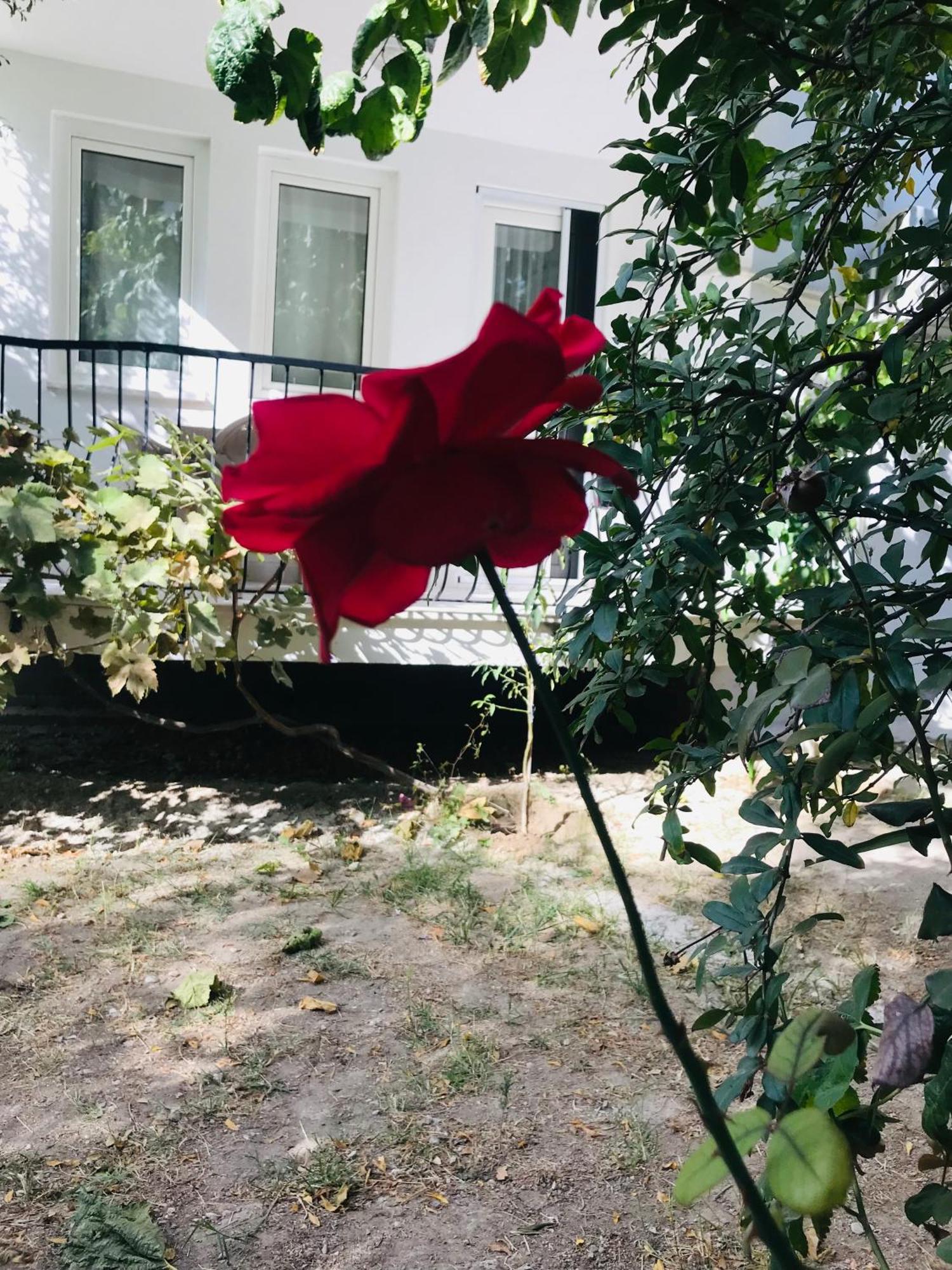 Appartement White House Tam Donanimli Bahceli Bueyuek Ev à Pamukkale Extérieur photo